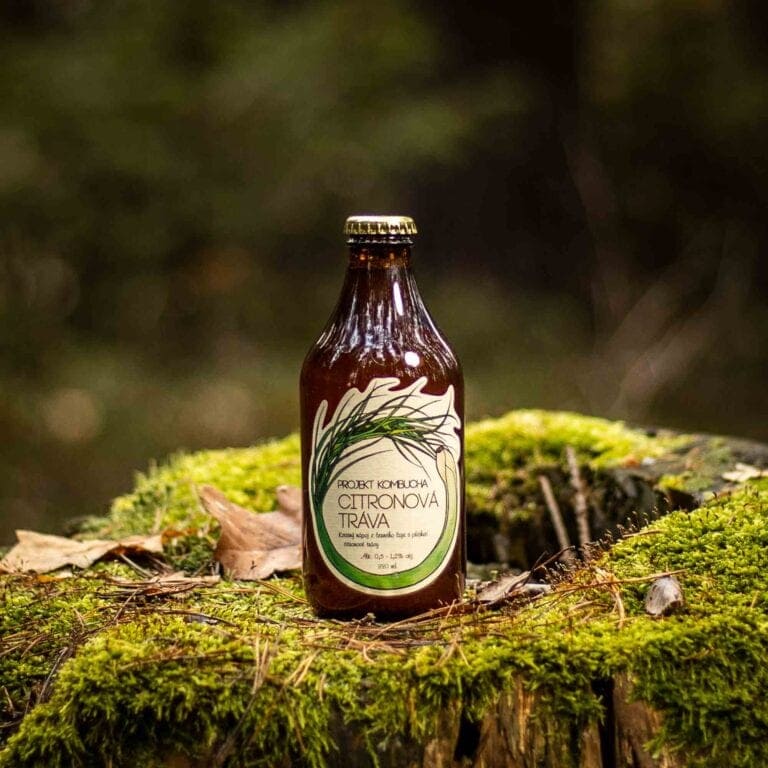 KOMBUCHA LEMON GRASS » Pivovar Zichovec
