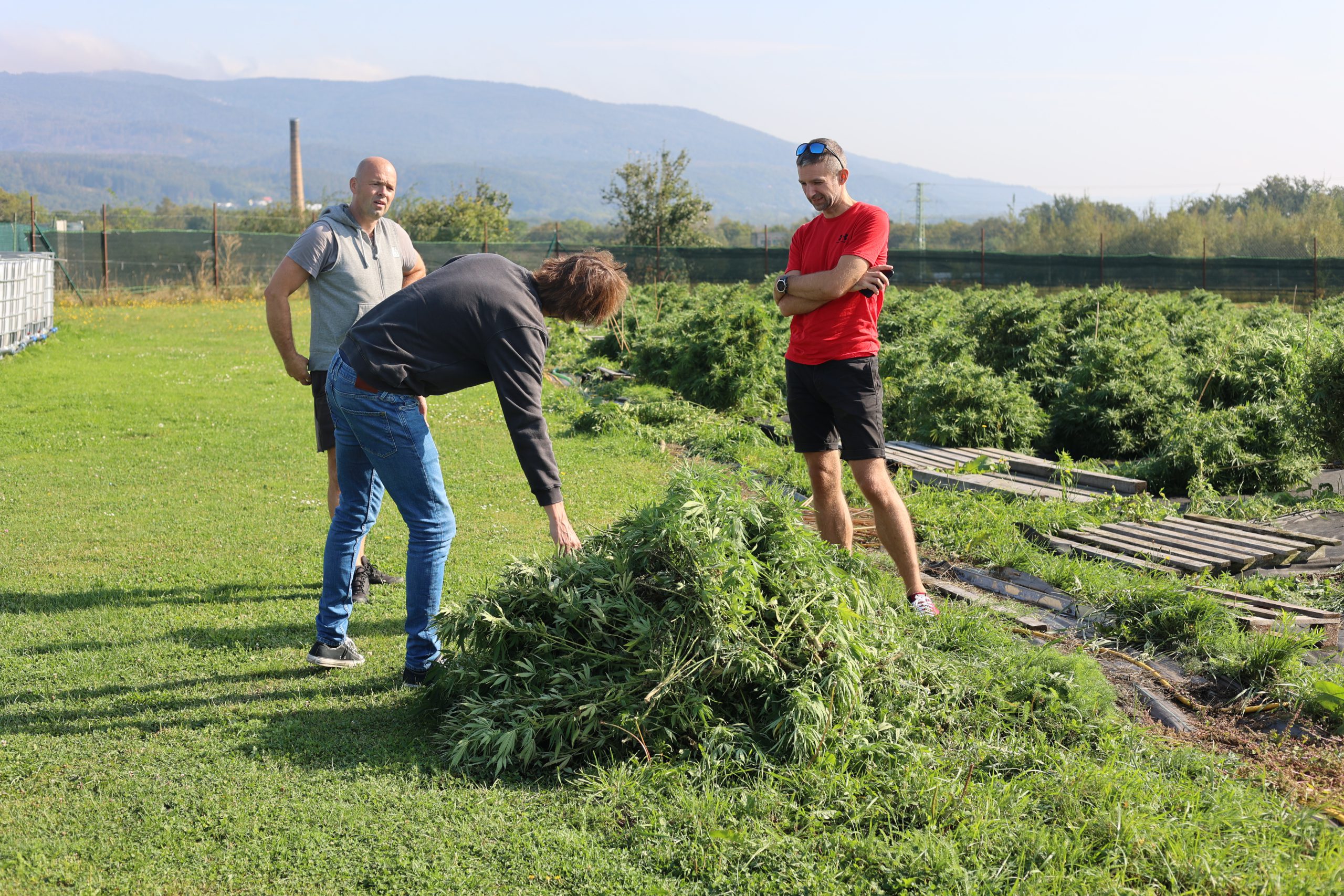 9I9A3091 1 scaled » Pivovar Zichovec