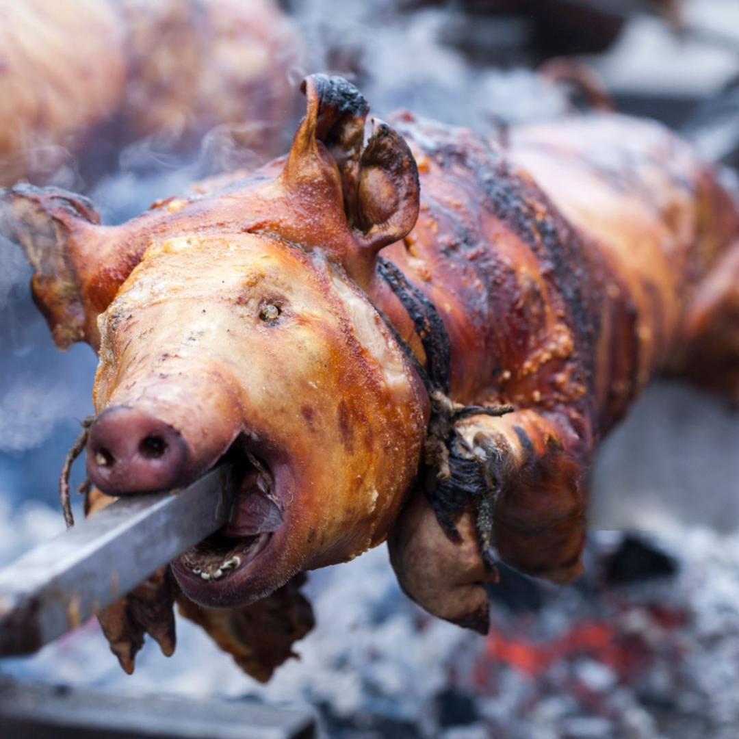 cunik &raquo; Pivovar Zichovec