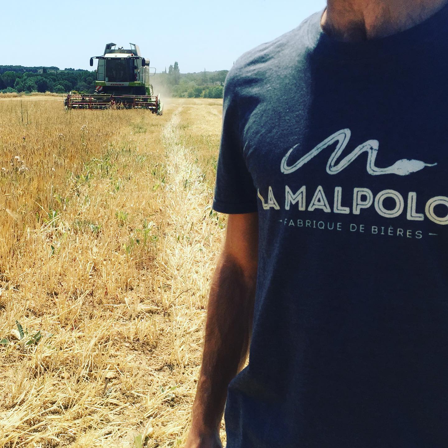 Winter Affair 2027 7 » Pivovar Zichovec la malpolon » Pivovar Zichovec