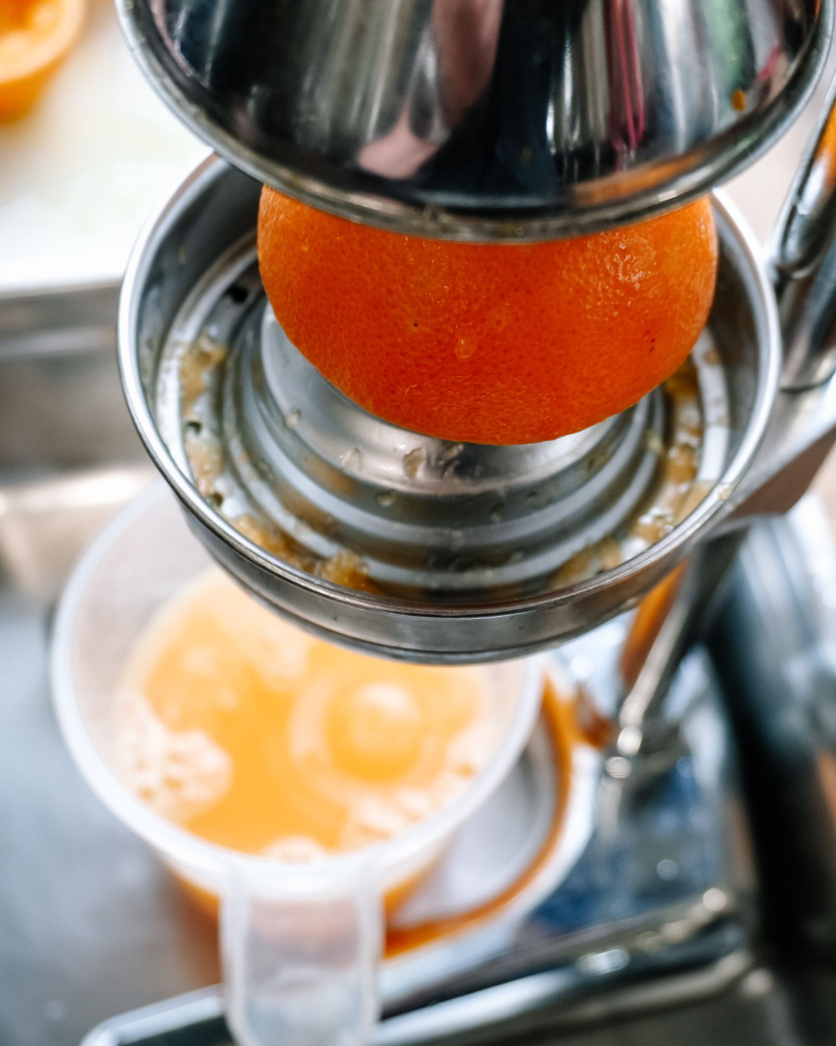 DSC7546 &raquo; Pivovar Zichovec